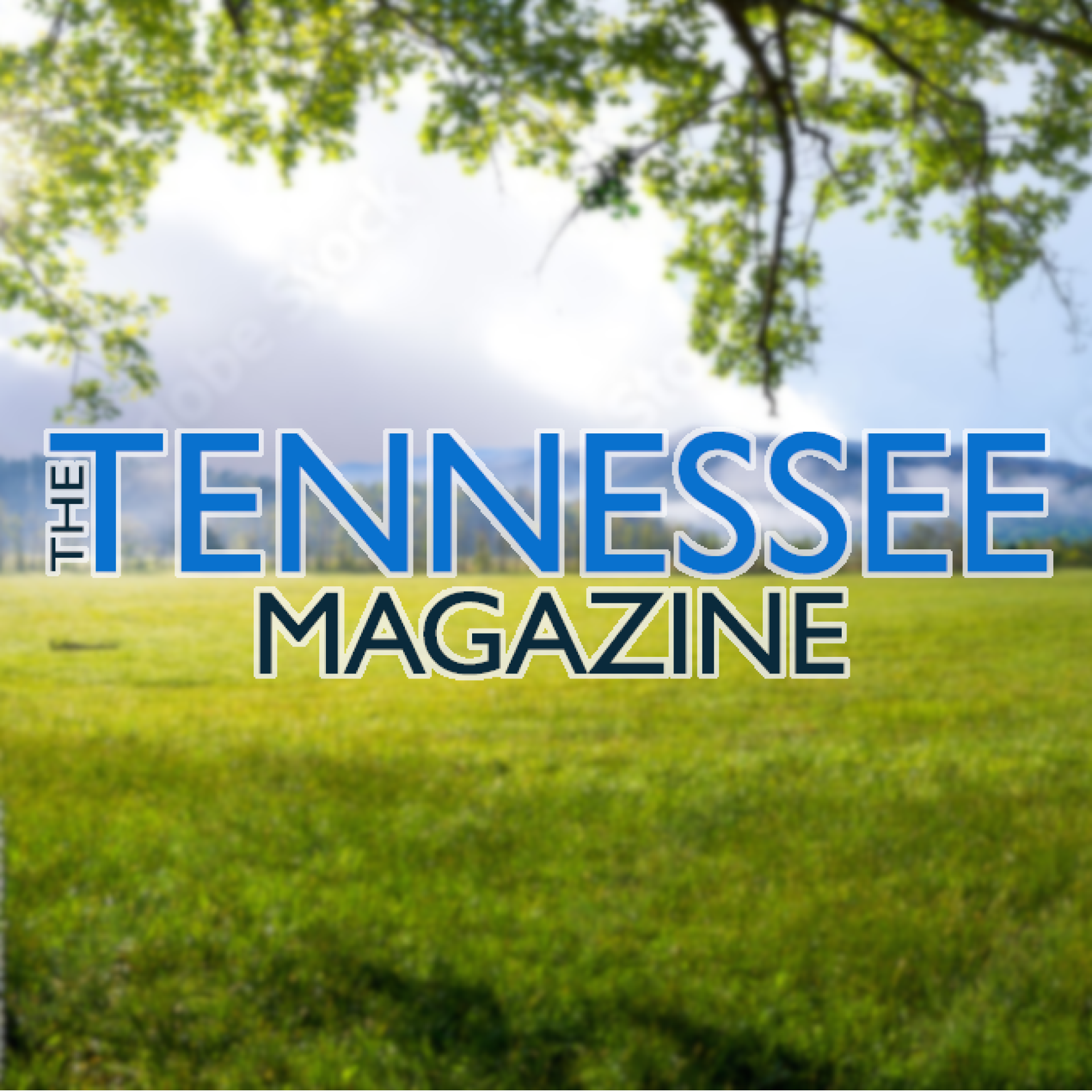 Tennessee Magazine