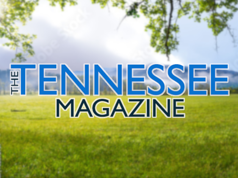 TN Magazine
